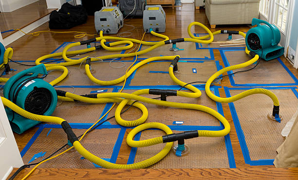 Professional Water Extraction technician working in Plain City, OH